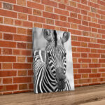 Portrait Zebra