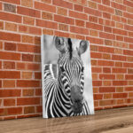 Portrait Zebra