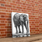 Portrait Elephant