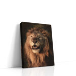 Portrait Lion