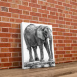 Portrait Elephant