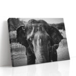 Landscape Elephant