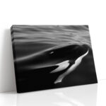 Landscape Killer Whale