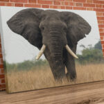 Landscape Elephant 3