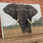 Landscape Elephant 3